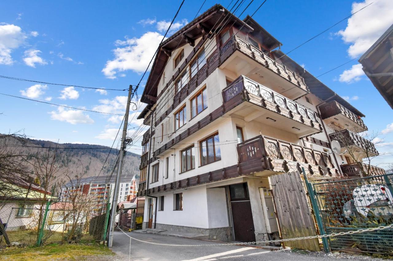 Апартаменты Cozy Montain Studio Синая Экстерьер фото